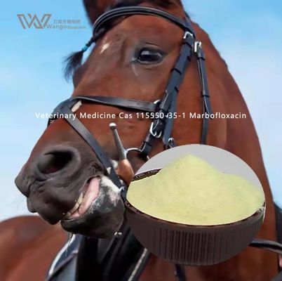 Veterinary Medicine Marbofloxacin Powder Antibacterial for respiratory tracts infection