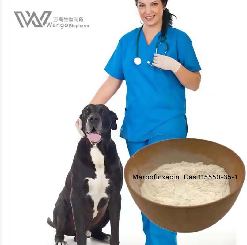 Veterinary Medicine Marbofloxacin Powder Antibacterial for respiratory tracts infection
