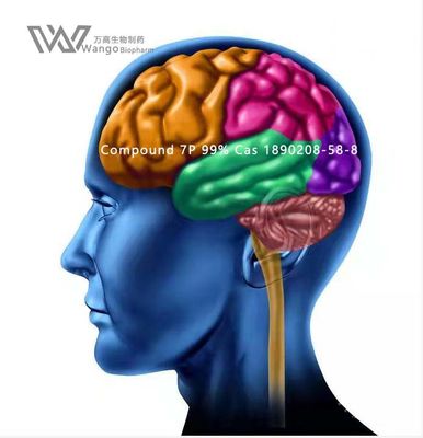 Polvo blanco de CAS 157115-85-0 Noopept GVS- 111 para Brain Improvement