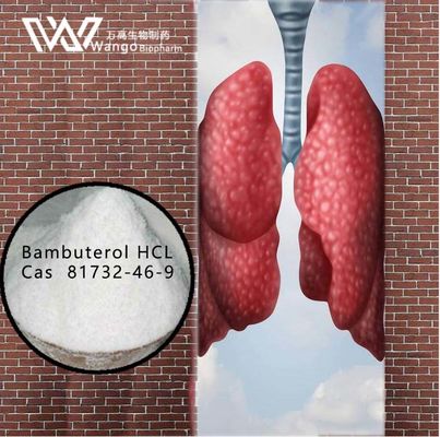 Agentes asmáticos antis del ácido clorhídrico el 99% de Bambuterol 81732-46-9 para el tratamiento del asma bronquial