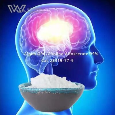 Polvos a granel de Nootropics de la CLAR, Alpha Gpc Acetylcholine 28319-77-9